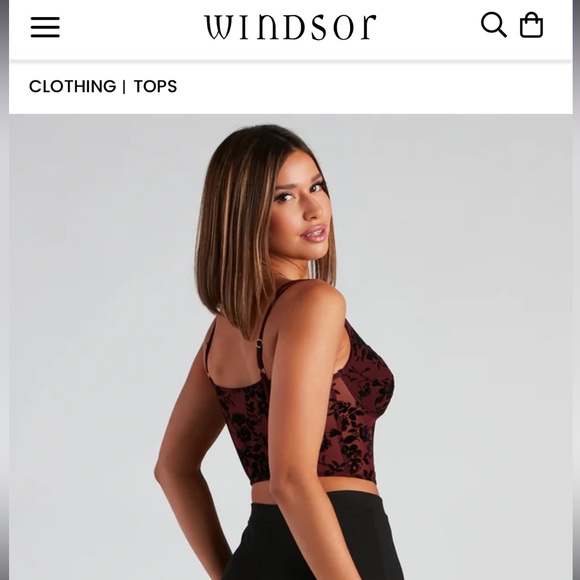 Sheer bustier NWT - Picture 3 of 15